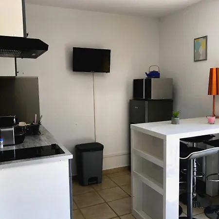 Studio Villa Pearl Plages Promenade Des Anglais Apartment